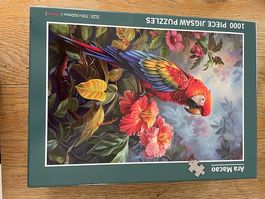 puzzle perroquet
