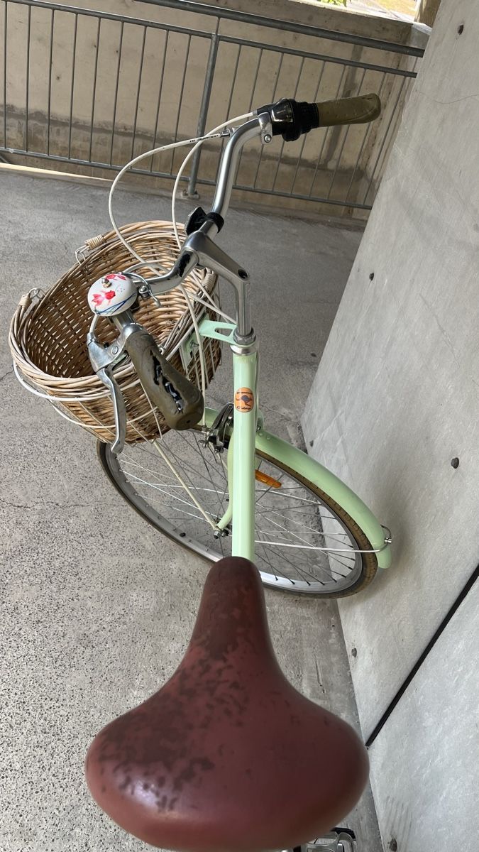 Biciclette: Damenvelo Mintgrün mit Korb – Usato da Liestal venduto da Tschopp77 2