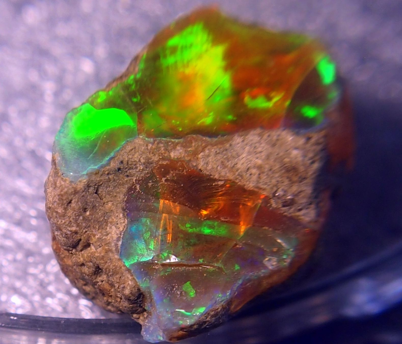Pietre preziose: 28,5 ct. TOP funkelnder FEUEROPAL! – Nuovo e nell'imballaggio originale da Reinach BL venduto da Marcopal 8