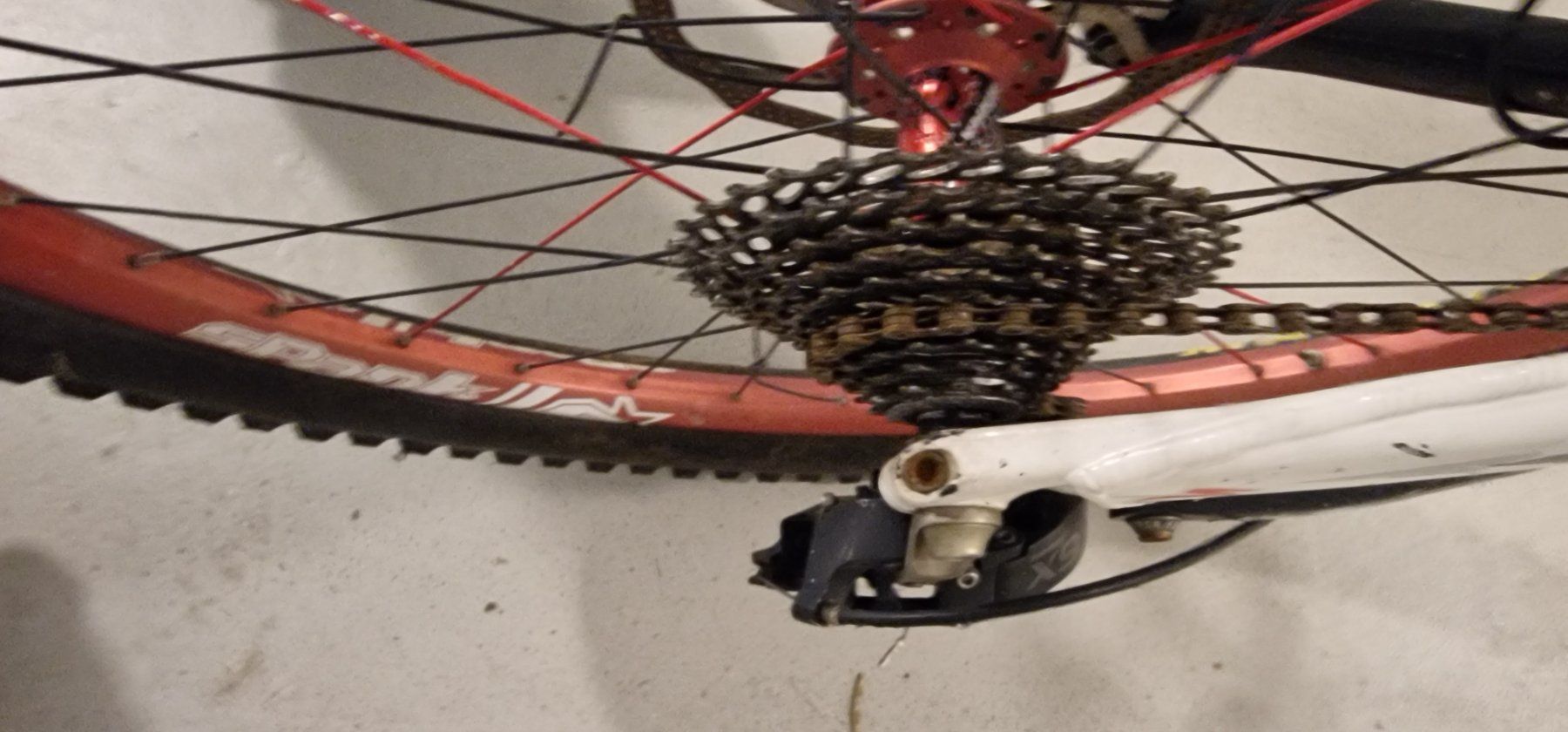 Specialized Biciclette: Mautain Bike Speciallzed – Usato da unterägeri venduto da Cfmotor 3
