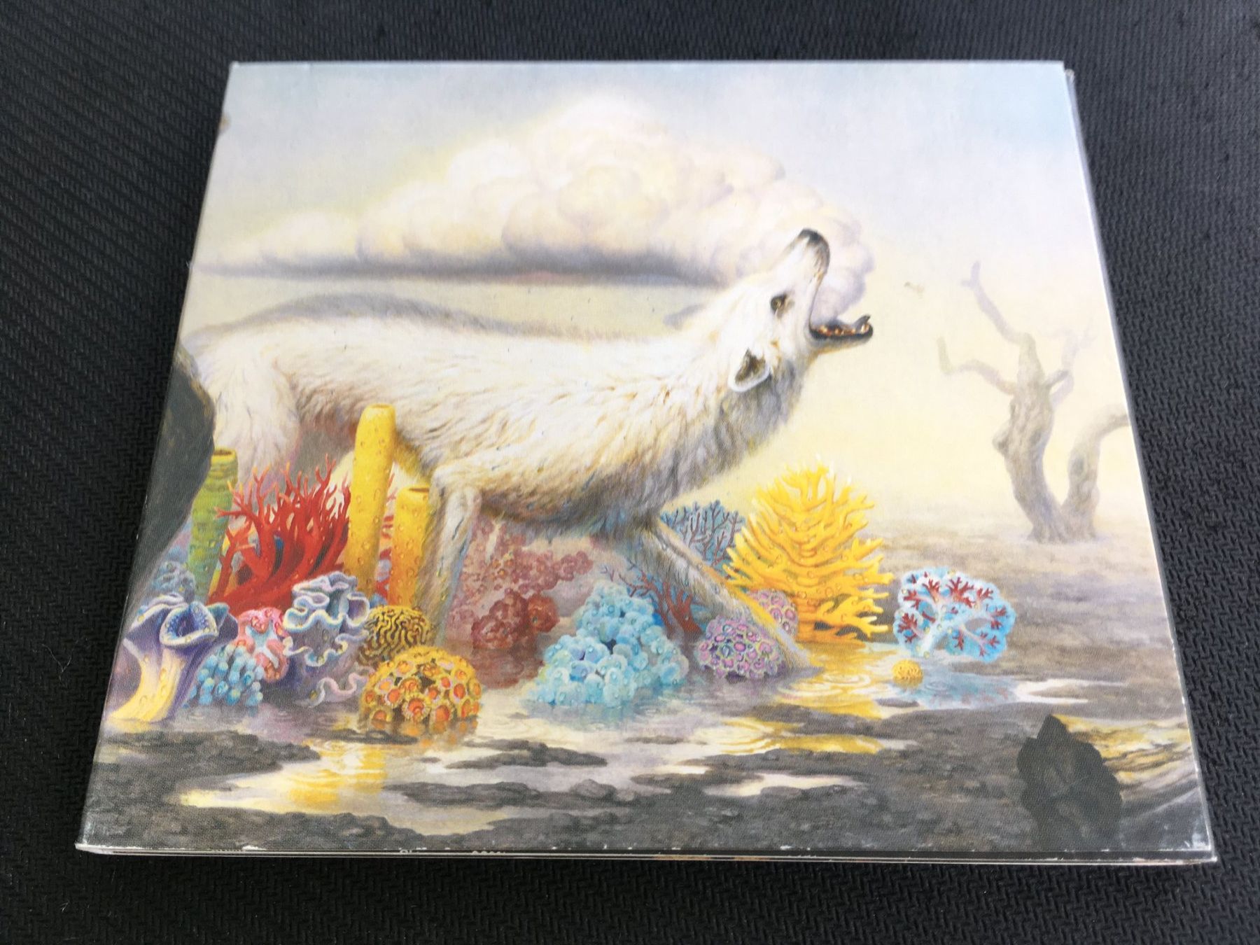 CDs: Rival Sons - Hollow Bones -CD- – Gebraucht aus St.Gallen von MedienJoe
