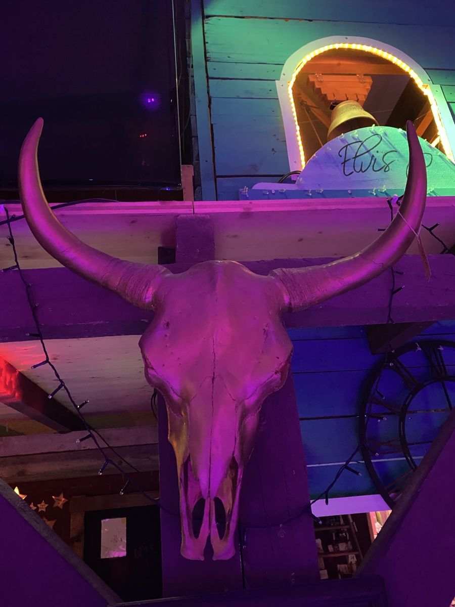 Sculture & Statue: Bison Kopf Gold  – Nuovo e nell'imballaggio originale da Wolfwil venduto da ISAsShop