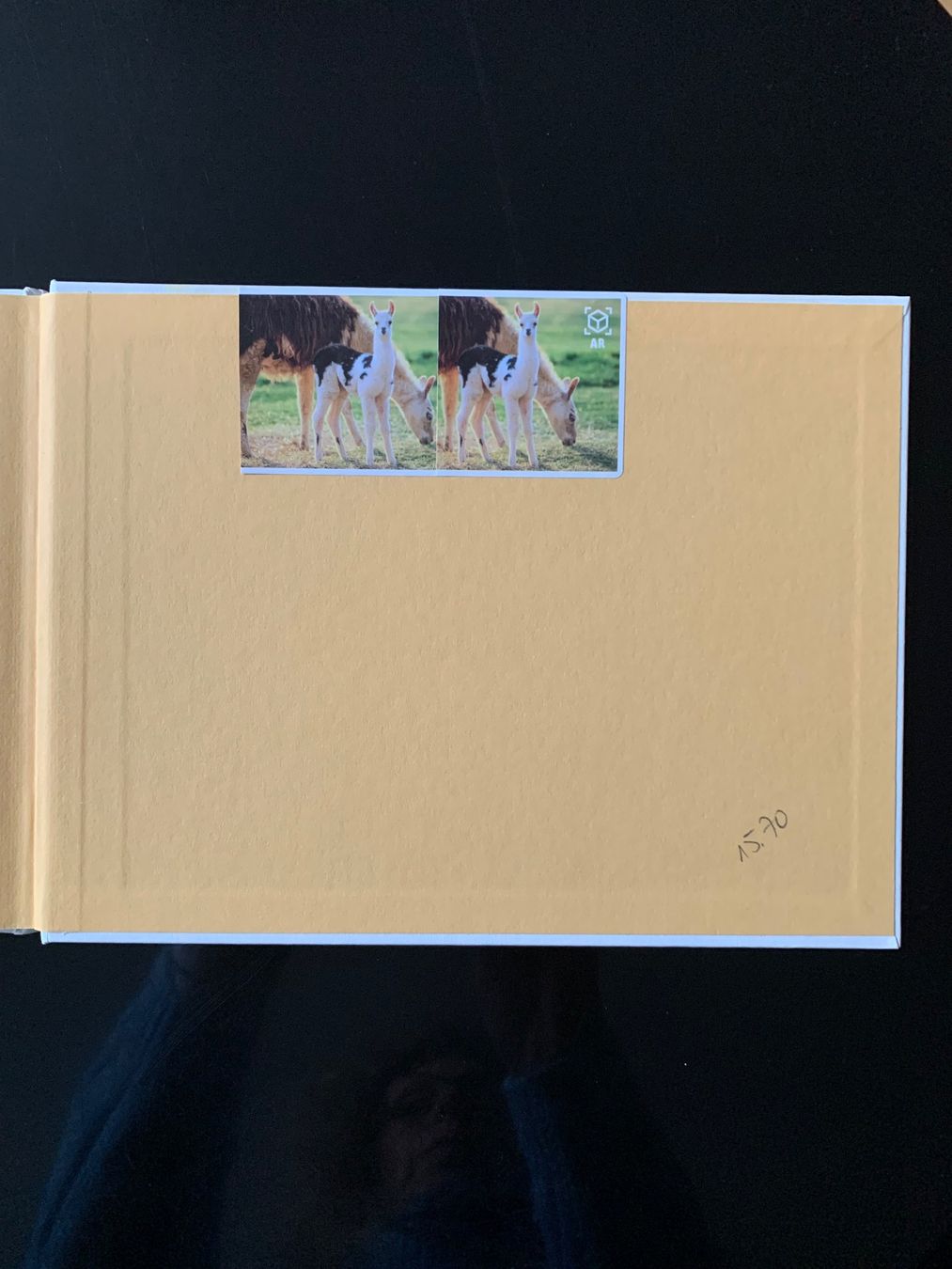 Libri: 2 Kinderbücher - Wunderschön Illustriert – Usato da Biel/Bienne venduto da senoi 4