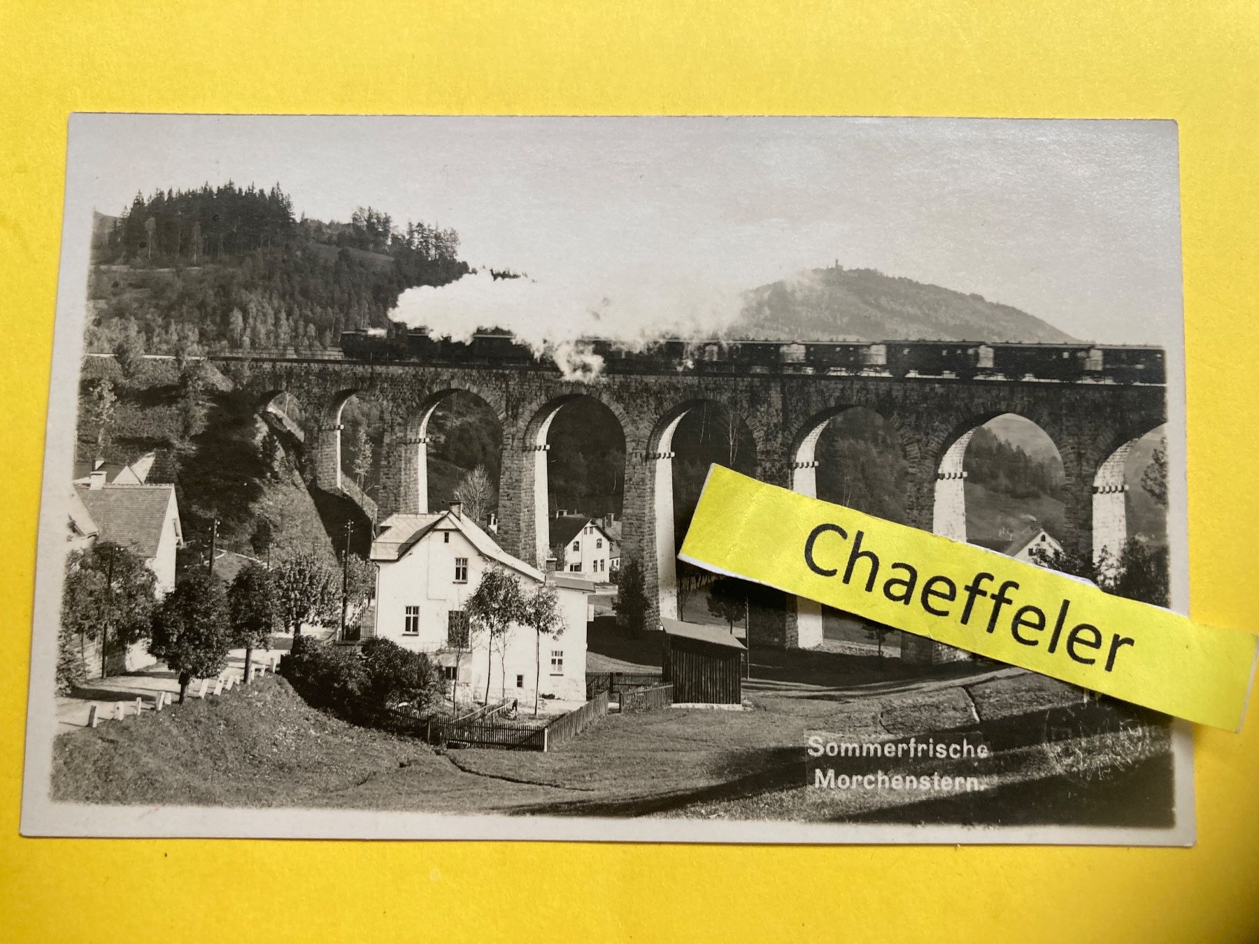 Cartoline postali: Sommerliche Morchenstern. – Usato da Zürich venduto da Chaeffeler