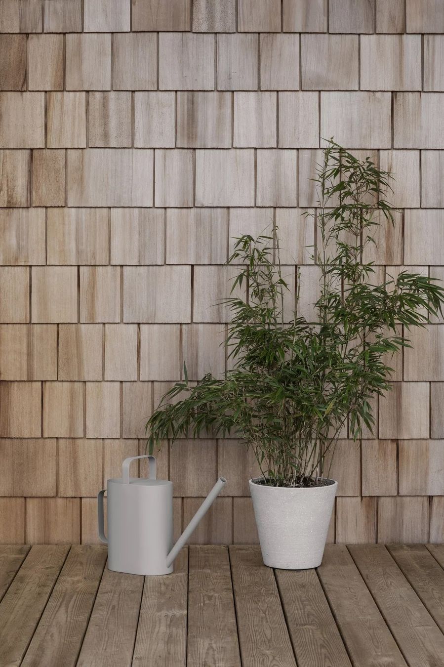 Annaffiatura & Irrigazione: BLOMUS Giesskanne 5L RIGUA lily white – Nuovo (secondo la descrizione) da Kägiswil venduto da nick333 4