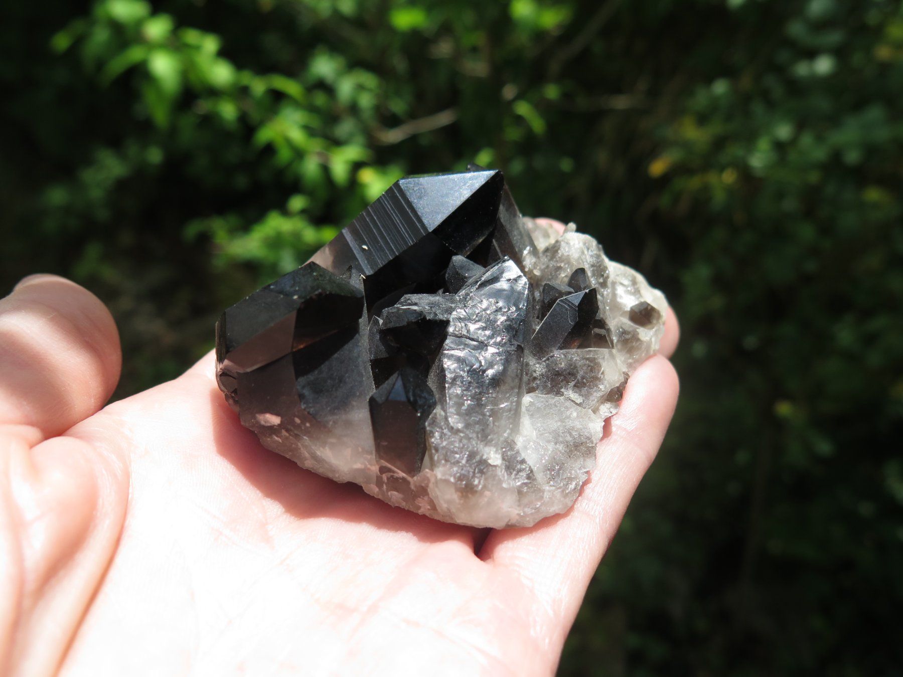 Mineralien & Heilsteine: Rauchquarz "Morion" von USA – Gebraucht aus Schaffhausen von Yamakana51L8736OQ8 3