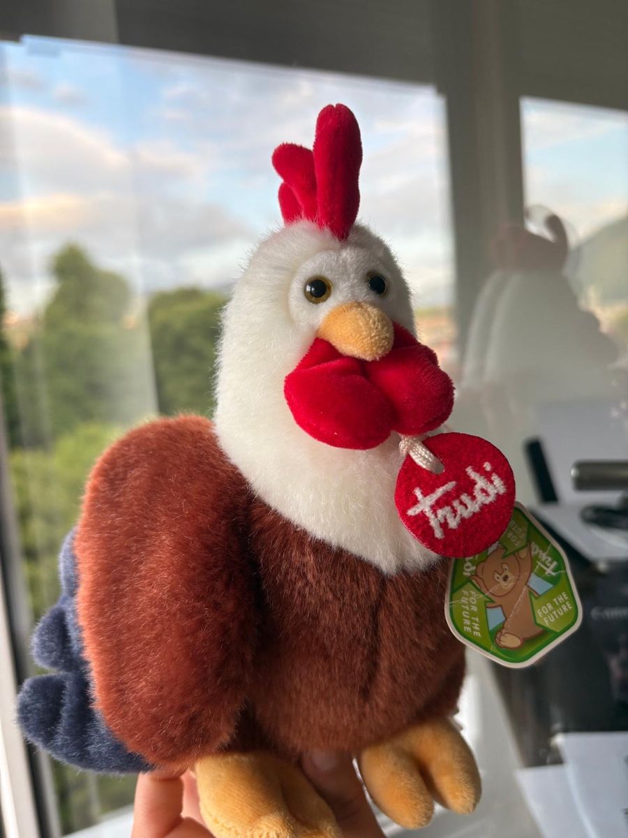 Trudi Jouets: Trudi Peluche Gallo – Neuf (Voir description) à Chiasso par spe_95dn 2