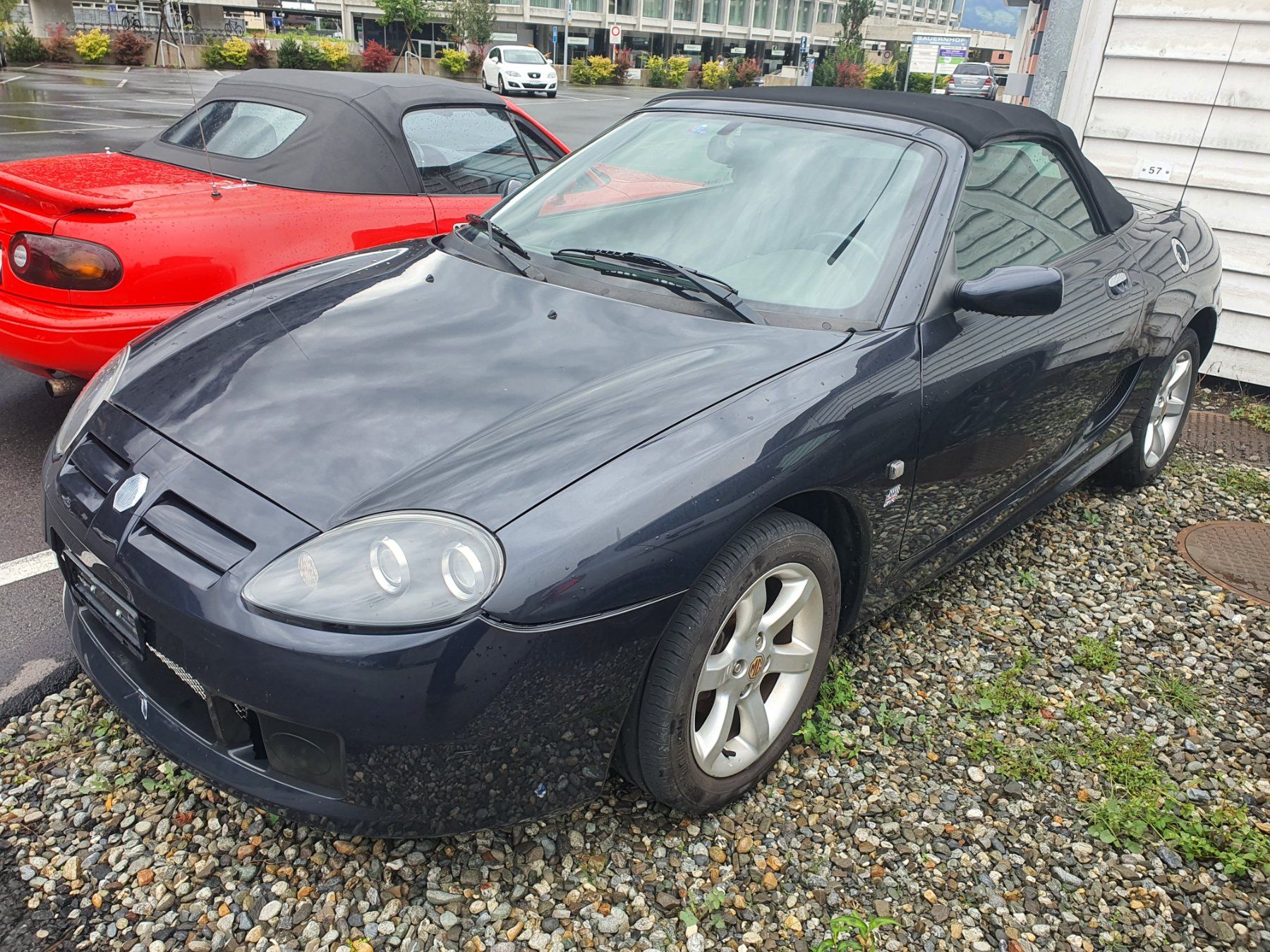 MG Automobili: MG TF 135 – Usato da Erstfeld venduto da Gina033