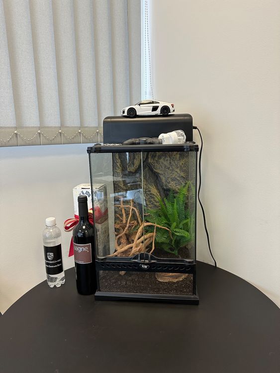 Milageto Hamster Sandbad Aus Glas Mit Holzleiter - Transparentes Terrarium Für Kleine Tiere | Größe L 19x20cm