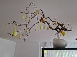 Osterbaum
