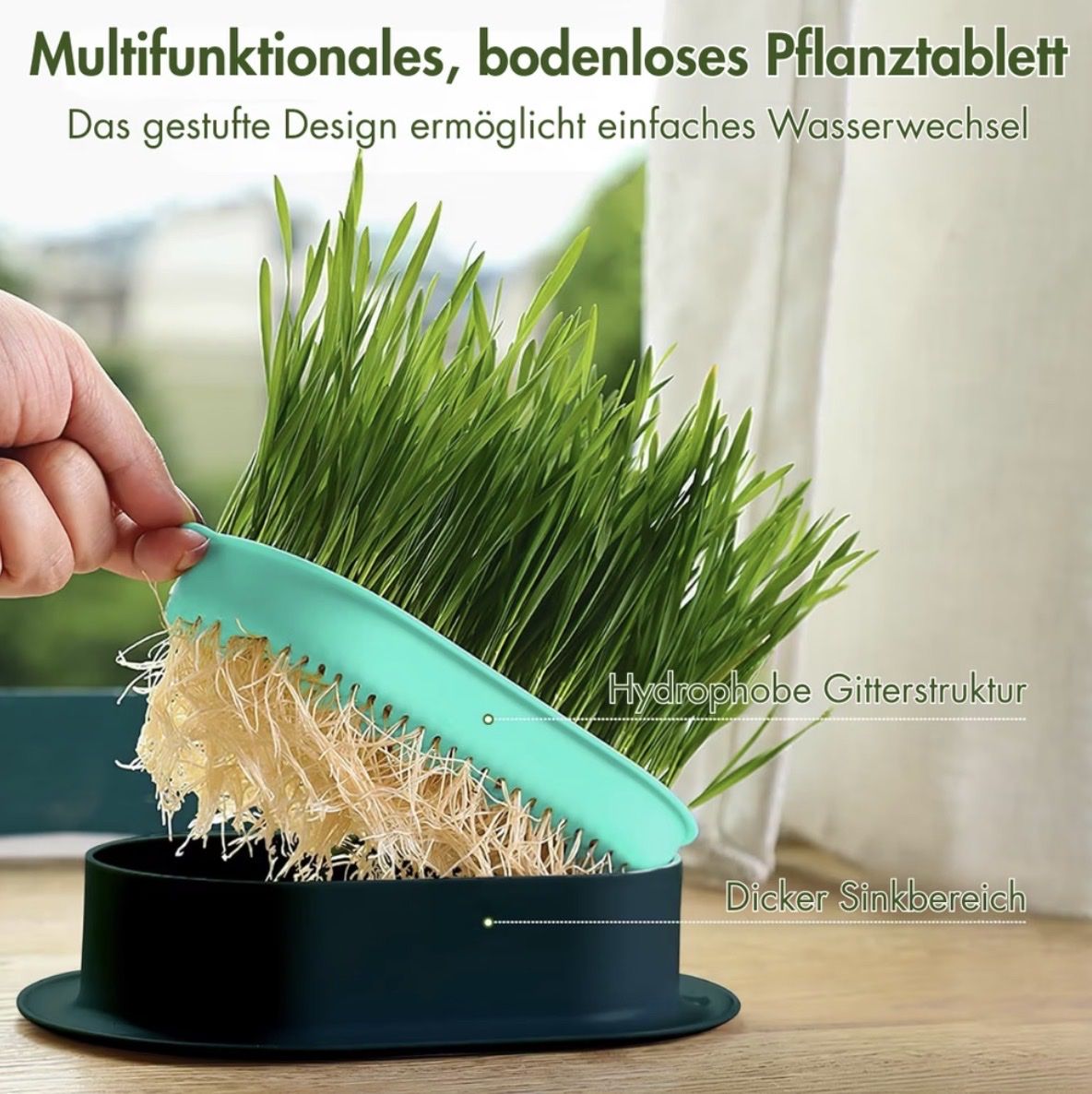 Growbox Altro: SubaPet Grass-Grow – Nuovo (secondo la descrizione) da Fehraltorf venduto da milady 2