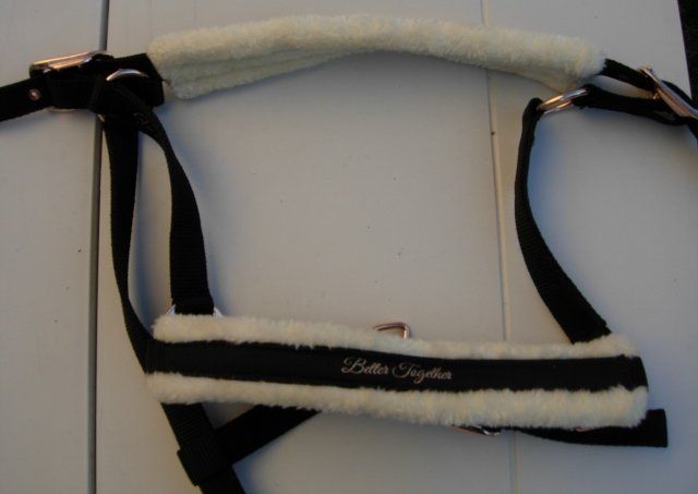 Briglie & Cavezze: Stallhalfter von Showmaster für Warmblut – Nuovo (secondo la descrizione) da Dübendorf venduto da rumpumpel