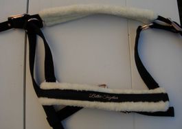 Stallhalfter von Showmaster für Warmblut
