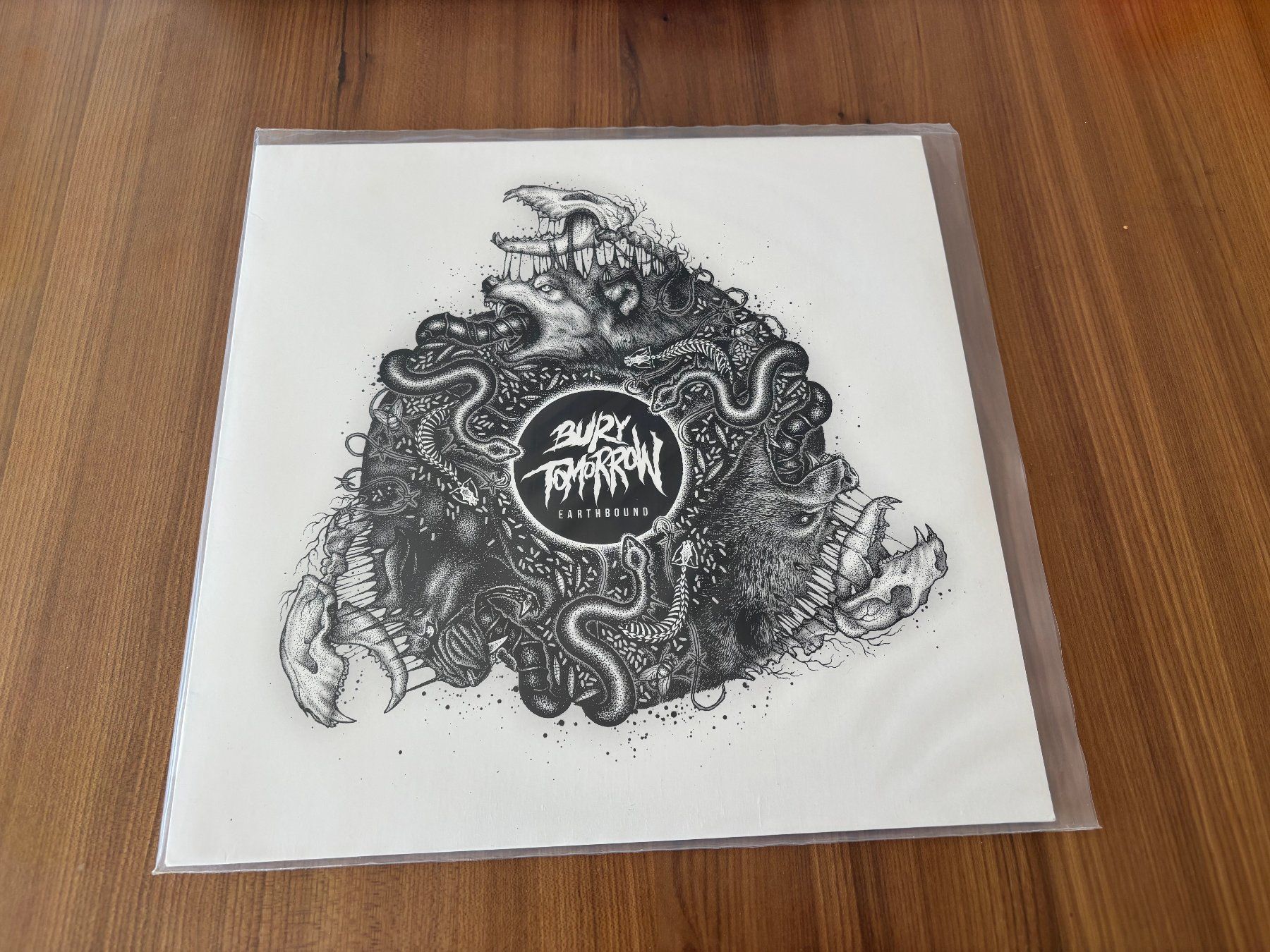 Dischi in vinile: Vinyl / Earthbound - Bury Tomorrow – Usato da Härkingen venduto da Rocky_