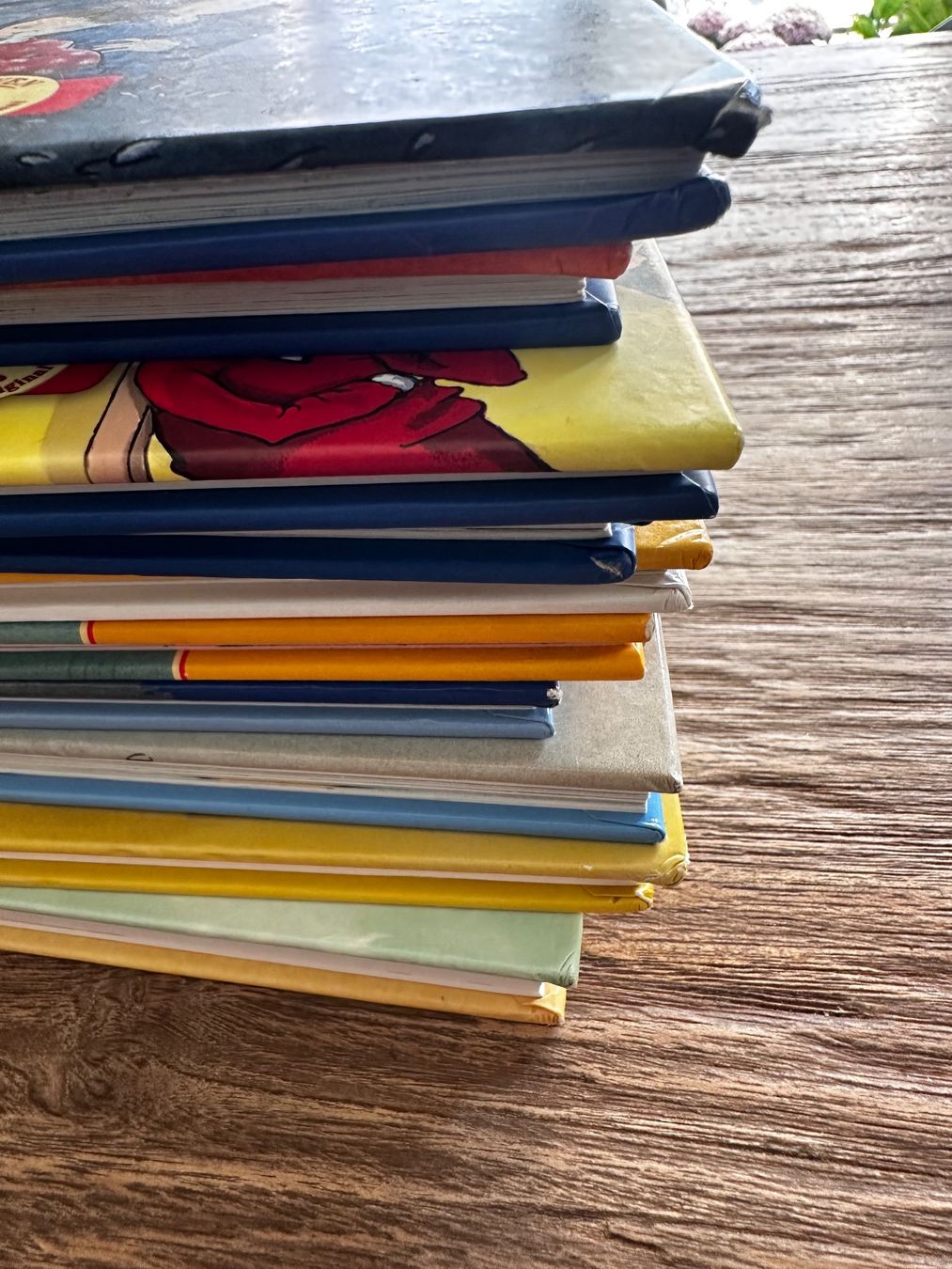 Libri: Kinderbücher Lesenlernen – Usato da Zürich venduto da Anba15 3