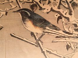 Estampe japonaise, oiseau avec une pivoine d'hiver