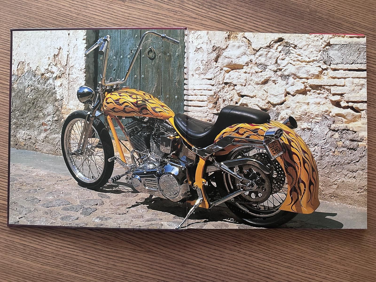 Libri: Custom Harley-Davidson von John Carroll, Arlen Ness – Usato da Bern venduto da Villatech 2