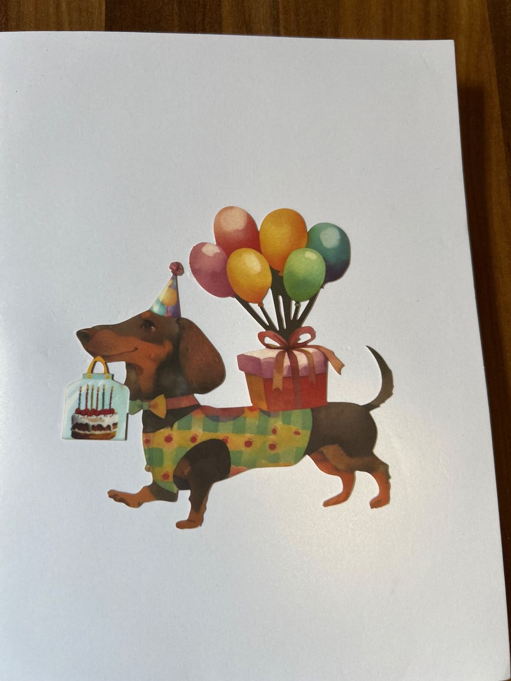 Cartoline: HUND GEBURTSTAGSKARTE 3D – Nuovo e nell'imballaggio originale da chiasso venduto da Wulli 3