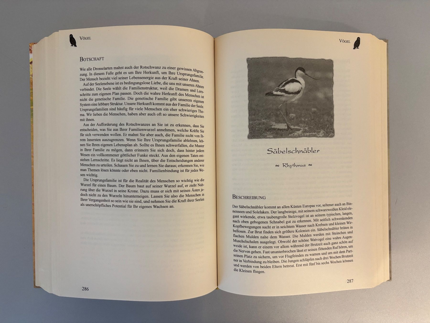 Bücher: Tierisch gut - Tiercharakter-Lexikon Tierregister – Neu (gemäss Beschreibung) aus Unterägeri von flu_zp5d 8
