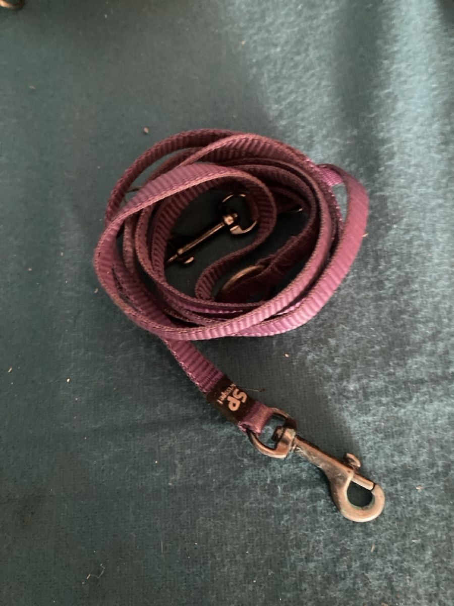 Abbigliamento: Hundeartikel – Usato da Schwanden GL venduto da bait04 4