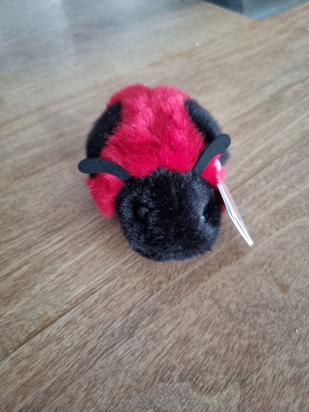 Jouets: Plüsch Marienkäfer rot schwarz – Neuf (Voir description) à Waltenschwil par Larache90