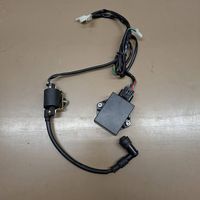 Pitbike Kabelbaum mit CDI