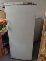 Bosch Gefrierschrank