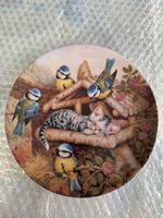 Sammlerteller "Nickerchen im Vogelhäuschen" Jahr 1997 neu