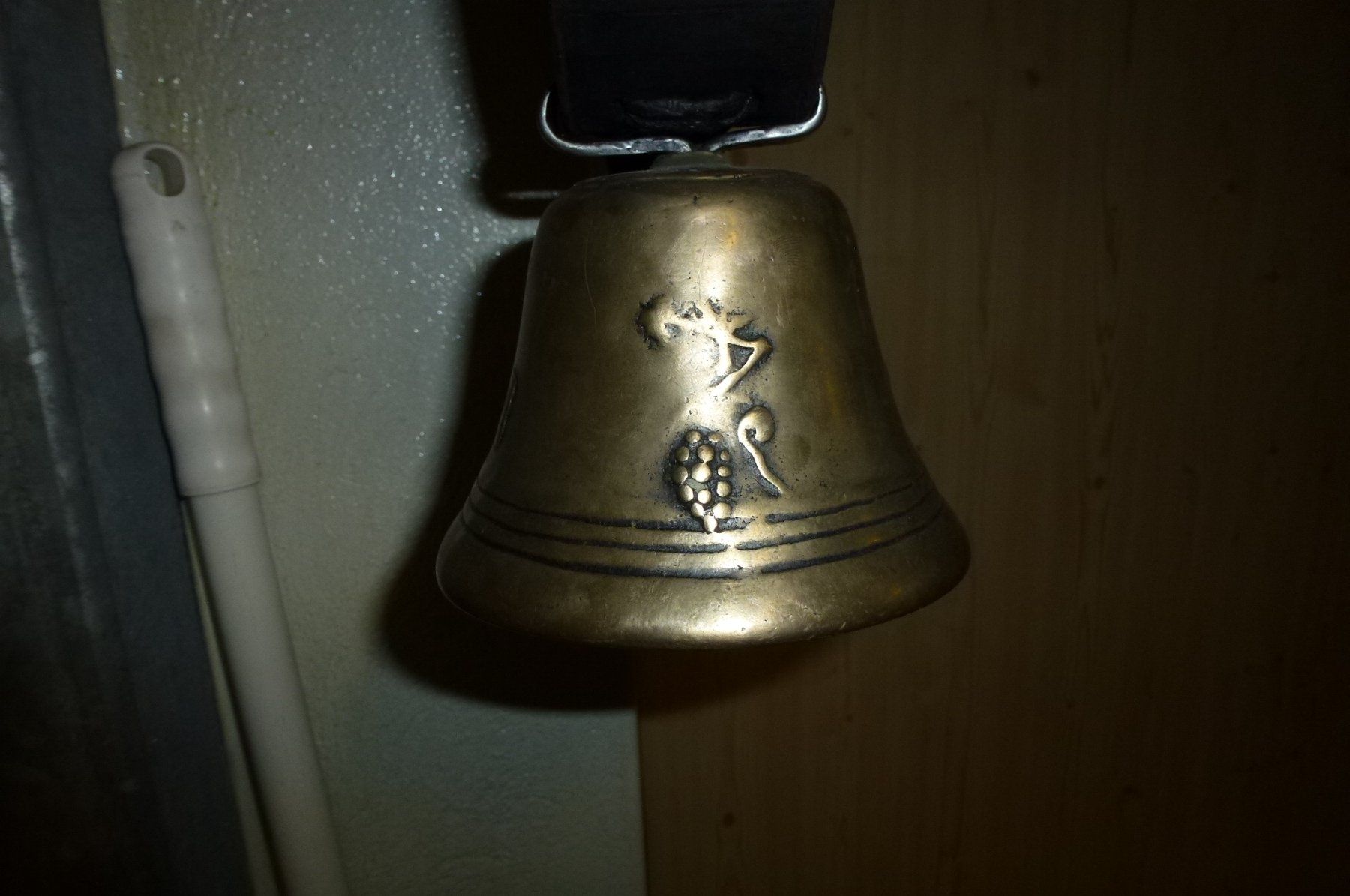 Campanacci mucche: Glocke 1800 Hundert – Usato da Bürglen UR venduto da daisyxy5 5