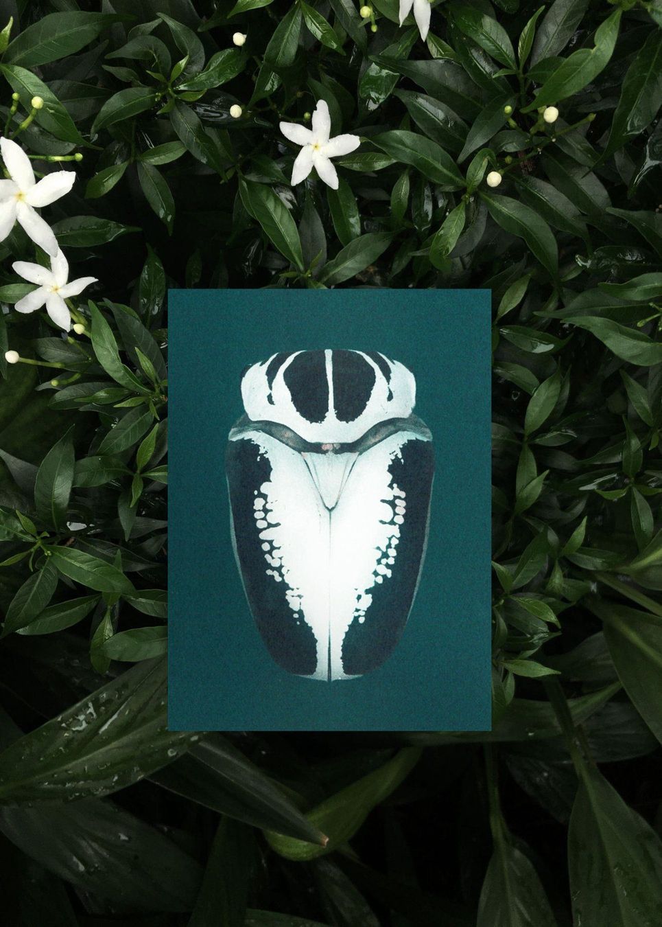 Cartoline: N° 9 Iridescence – Nuovo e nell'imballaggio originale da Zürich venduto da BienvenueStudios 3