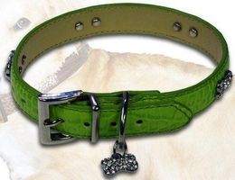 Hund Hunde Hals Band S Leder GRÜN Strass-Steine Knochenform