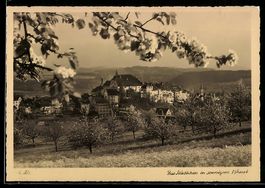 AK Wil /SG, Stadtansicht mit Schloss und Kirche