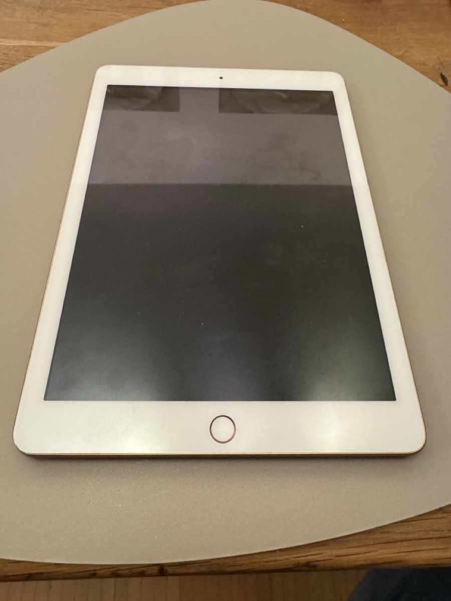 Apple Tablet PC: Apple iPad 6. Generation – Difettoso da Adliswil venduto da Busys