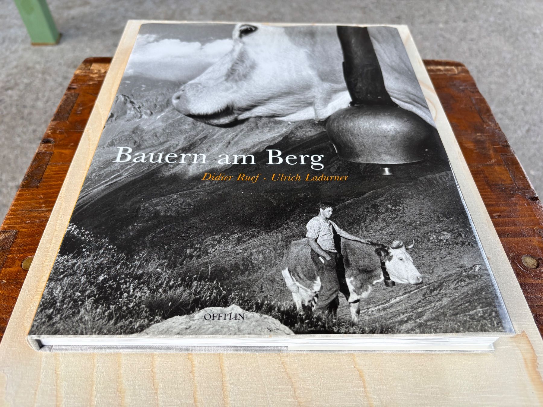 Campanacci mucche: Buch Bauern am Berg – Usato da Feldbach venduto da Fea1 1