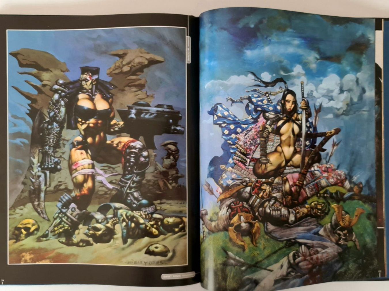 Fumetti: Simon Bisley Art Book, Heavy Metal , DC Comic – Usato da Aesch BL venduto da pri_fp8t 3