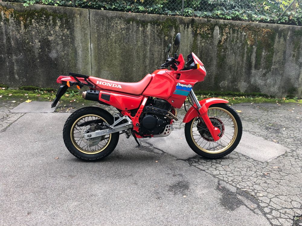 Honda NX 650 Dominator Kaufen auf Ricardo