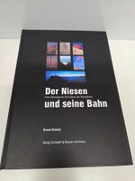 Der Niesen und seine Bahn Bruno Petroni Schlaefli