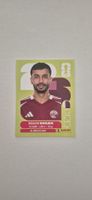 Panini QAT 6