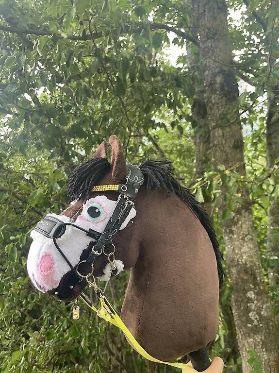Jouets: Hobby Horse HOCHWERTIG – D'occasion à Susten par Kht_formidable 1