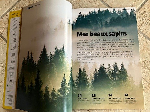 Riviste & Magazine: Revue La Salamandre - les sapins – Usato da Les Ponts-de-Martel venduto da Jolisa 2