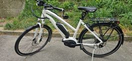 Flyer Ts Serie 45kmh mit Rohloff guter zustand