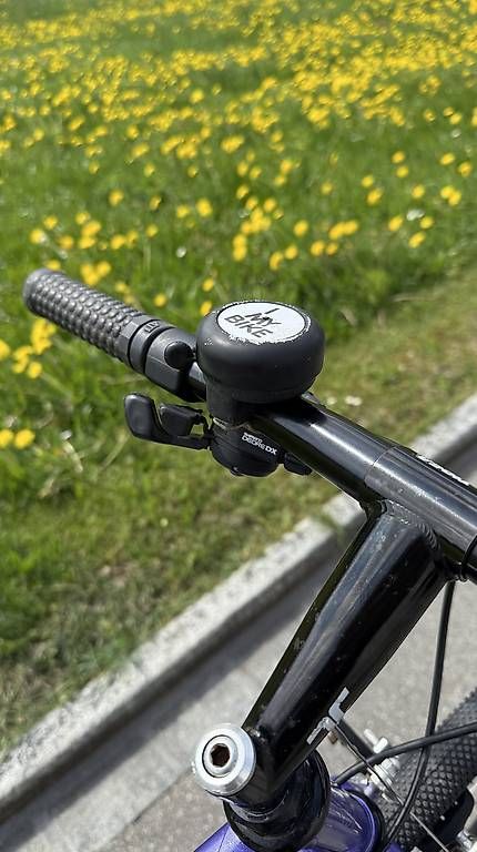 Vélos: Refurbished Citybike – D'occasion à Abtwil SG par marcel9121 4