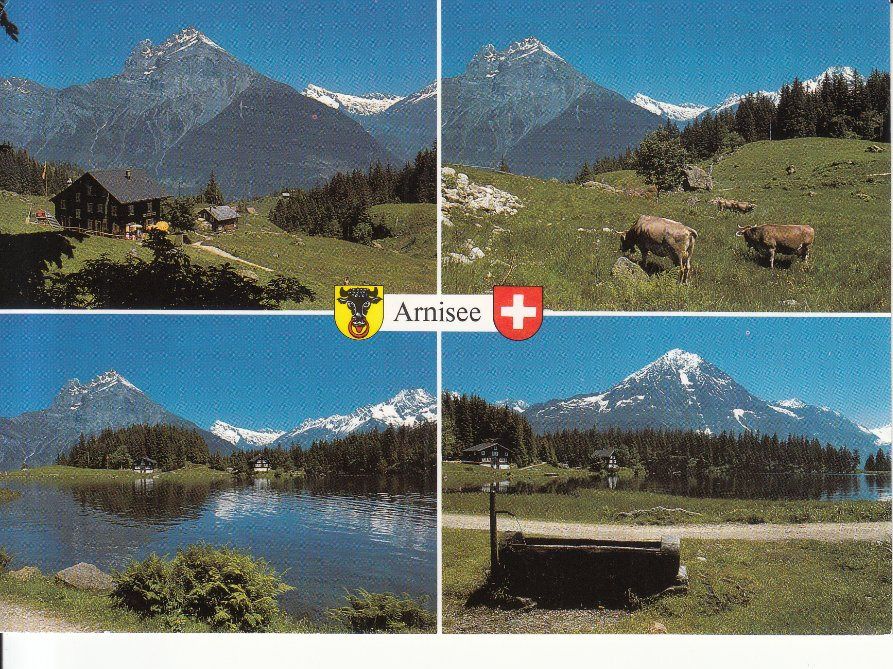 Ansichtskarten: Arnisee 2004 – Gebraucht aus Bürglen TG von StampGraf