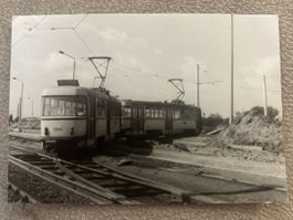 Magdeburg: Pendel linie 1 Foto 10x7cm 1986 Strassenbahn Tram