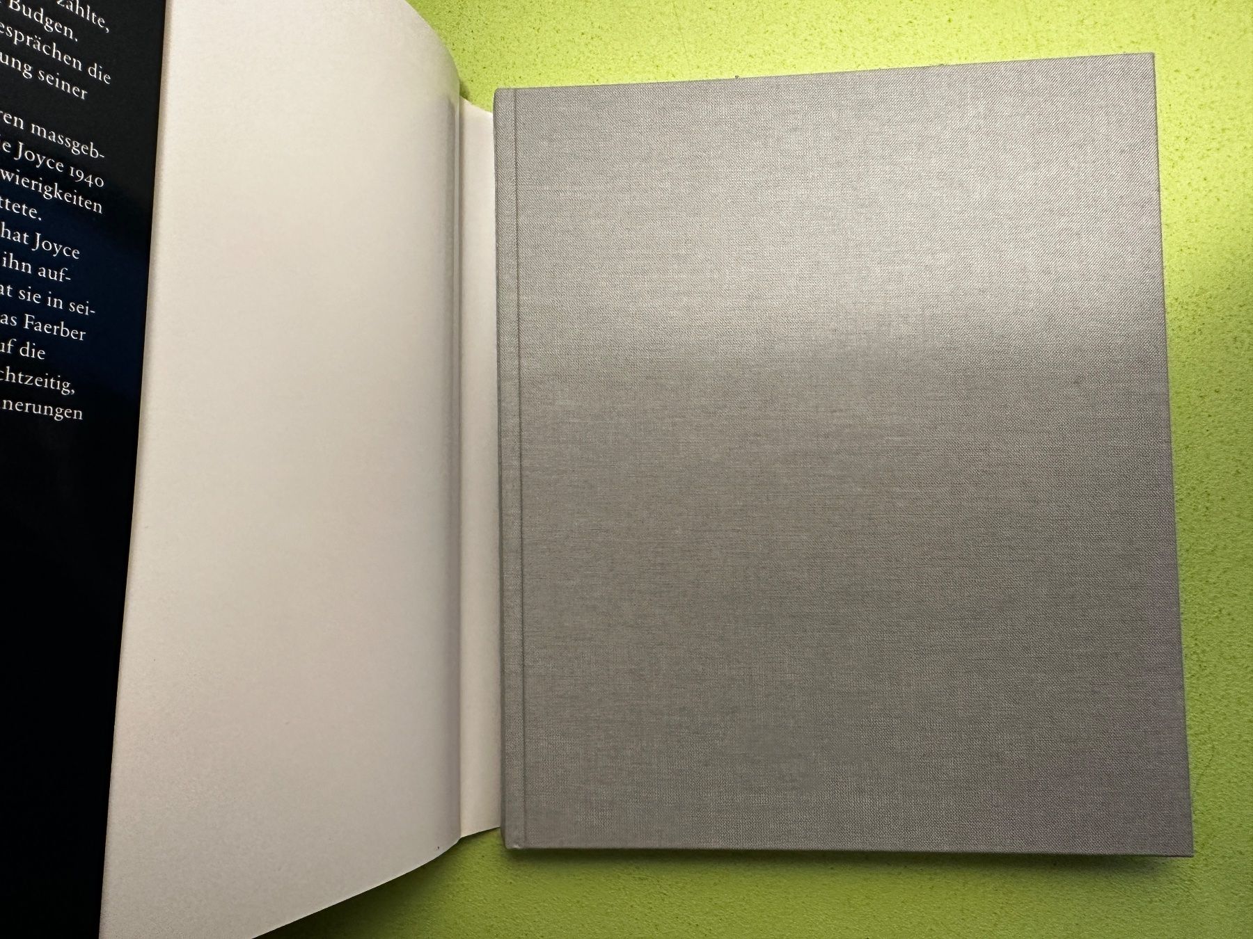 Libri: Thomas Faerber, Markus Luchsinger: Joyce in Zürich. – Usato da Zürich venduto da allp 1