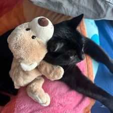 Profile image of Marlon_04