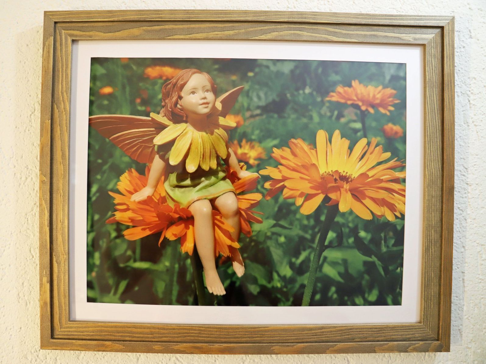 Foto & Immagini: Elfen-Bild Ringelblume (Fotobild plus Holzrahmen) – Nuovo (secondo la descrizione) da Volketswil venduto da greifensee11511