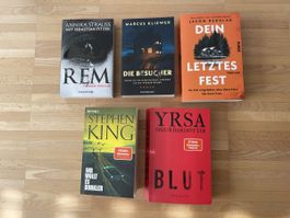 Spannendes Thriller & Horrorbücherset