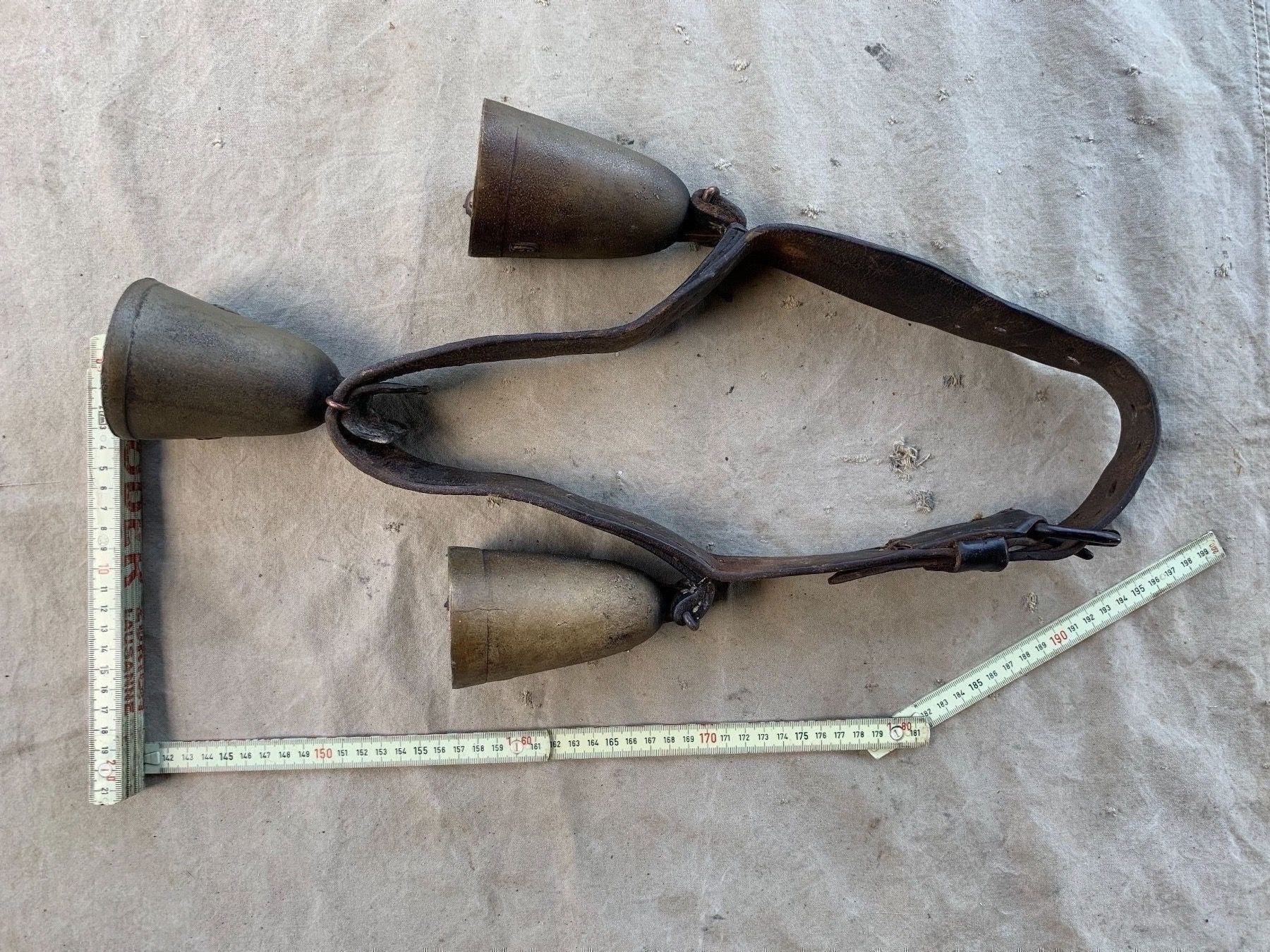 Campanacci mucche: schönes antikes Parisergeschell / Pferdegeschell – Usato da Feldbach venduto da Fea1 9