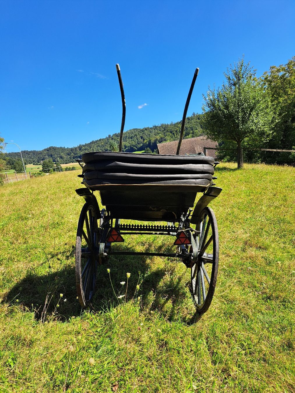 Kutschen: Doktor - kutsche - Chaise – Gebraucht aus Wettingen von ML03 1